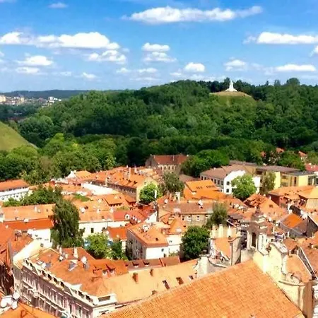 Apartamento Dailidziu *